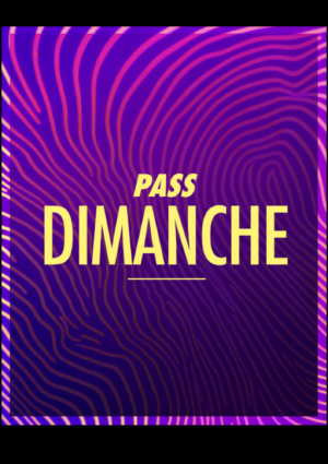 PASS DIMANCHE 29 JUIN - SOLIDAYS 2025